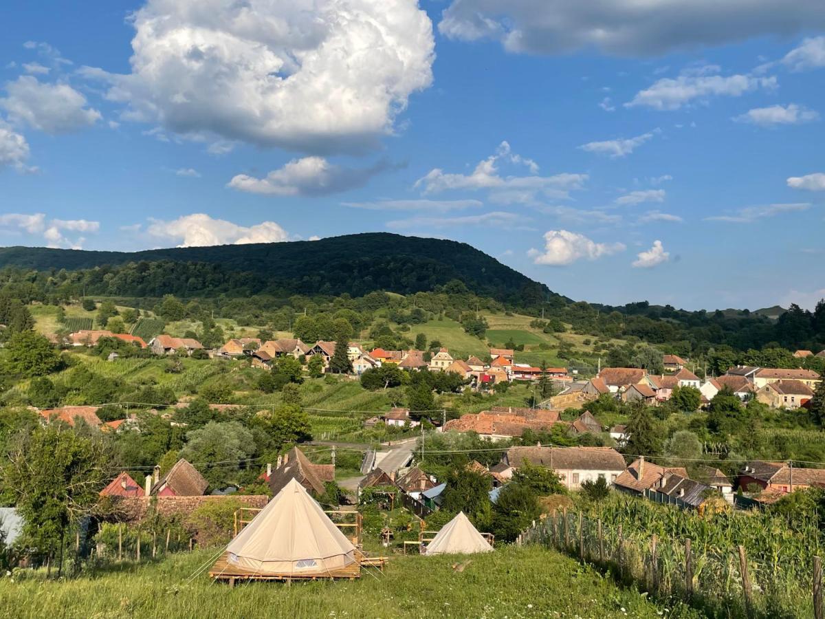 Saschiz 130/Lodging And Glamping Εξωτερικό φωτογραφία
